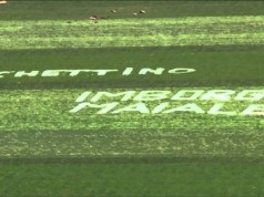 Varese: dal genoma esplosivo allo stadio distrutto