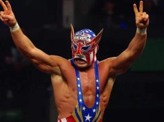 Come il wrestling americano ha influenzato la cultura pop mondiale. Come il wrestling americano ha influenzato la cultura pop mondiale.