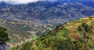 La capigliatura di Baggio: la storia del “Divin Codino” che fece moda.