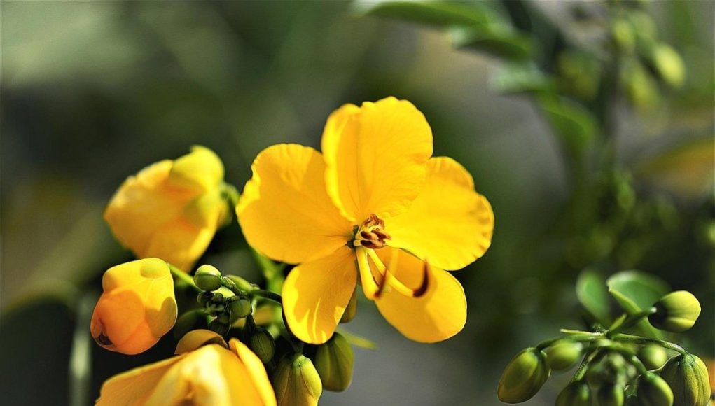 Senna contro Prost: la rivalità più accesa e pericolosa della F1.