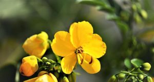 Senna contro Prost: la rivalità più accesa e pericolosa della F1. Senna contro Prost: la rivalità più accesa e pericolosa della F1.