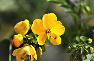 Senna contro Prost: la rivalità più accesa e pericolosa della F1. Senna contro Prost: la rivalità più accesa e pericolosa della F1.