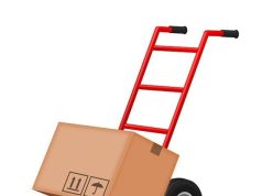 I segreti della boxe cubana: agilità, tecnica e storia olimpica