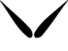 L’evoluzione della ginnastica artistica: dai primi passi a oggi