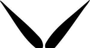 L’evoluzione della ginnastica artistica: dai primi passi a oggi