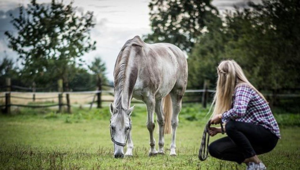 La leggenda di Zico: il “Pelé bianco” che incantò il Brasile