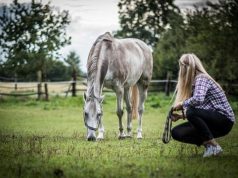 La leggenda di Zico: il “Pelé bianco” che incantò il Brasile