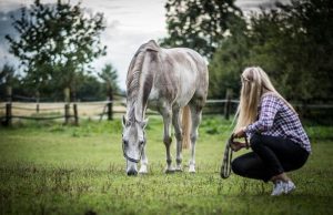 La leggenda di Zico: il “Pelé bianco” che incantò il Brasile