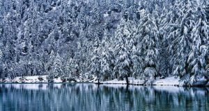 Come nasce una tavola da snowboard: materiali e forme tecniche