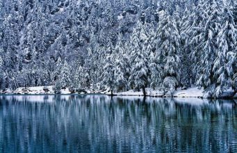 Come nasce una tavola da snowboard: materiali e forme tecniche