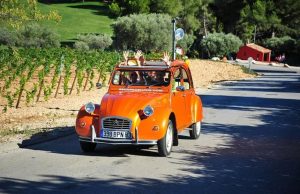 L’impatto del VAR sulla psicologia dei calciatori in campo L’impatto del VAR sulla psicologia dei calciatori in campo