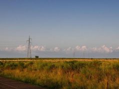 Perché il record del mondo di salto in lungo dura dal 1991