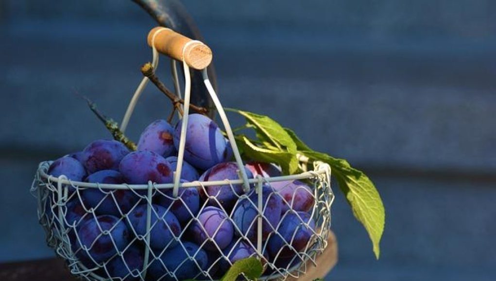 Il record di vittorie consecutive nella storia del basket NBA