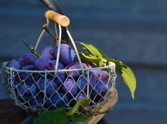 Il record di vittorie consecutive nella storia del basket NBA