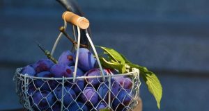 Il record di vittorie consecutive nella storia del basket NBA