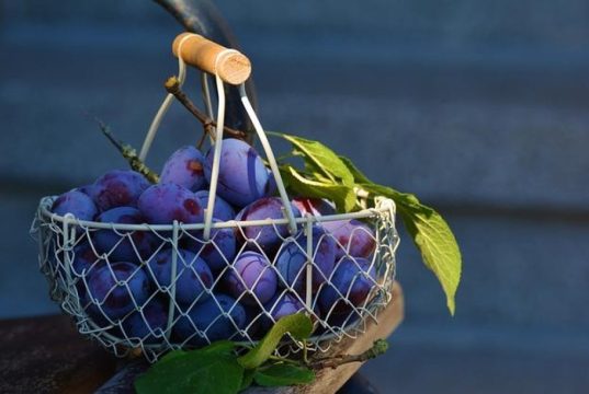 Il record di vittorie consecutive nella storia del basket NBA