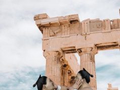 La storia del Sumo: oltre il peso, una disciplina millenaria