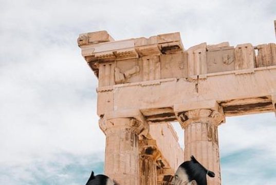 La storia del Sumo: oltre il peso, una disciplina millenaria